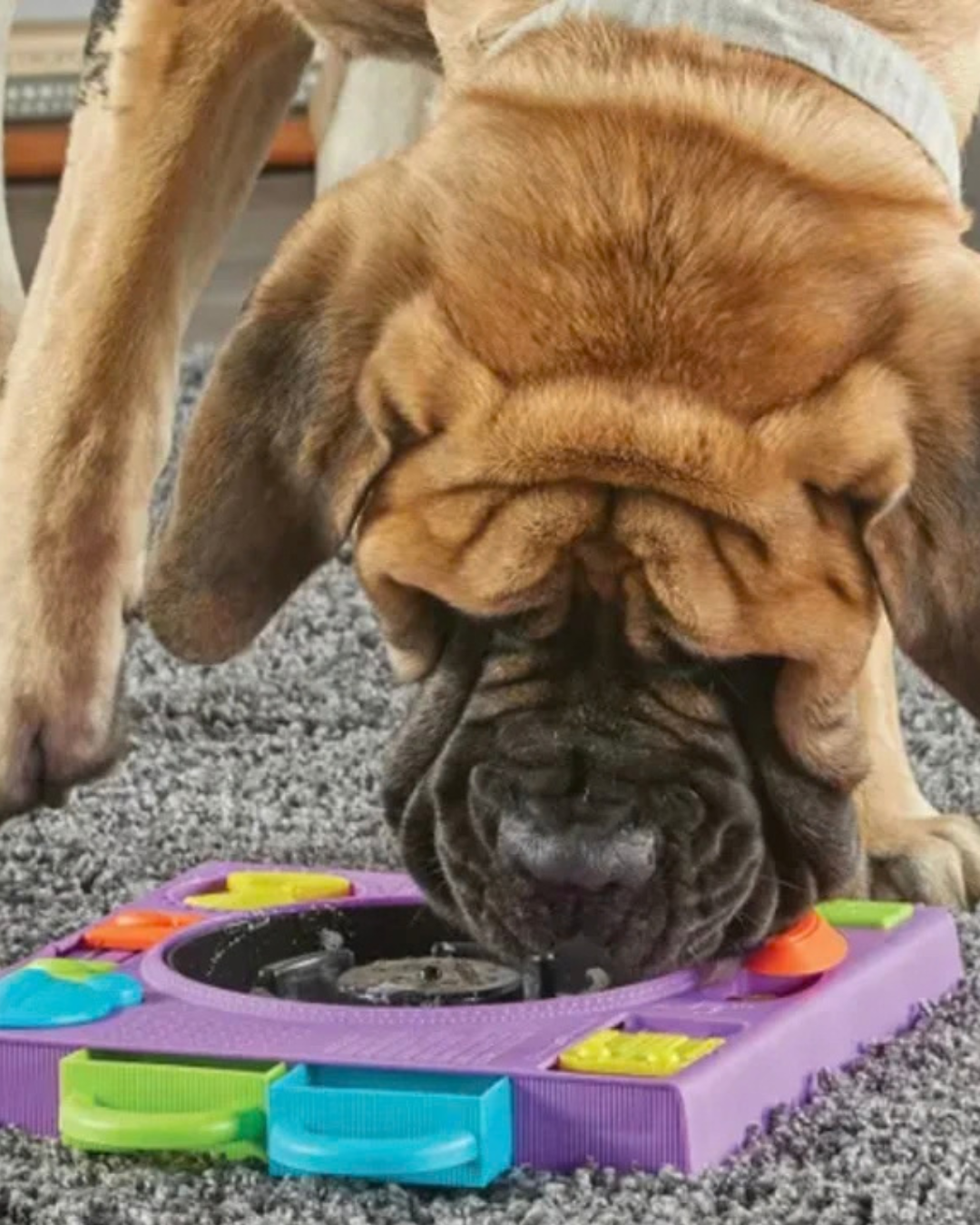Brightkins – DJ Doggo Puzzle Feeder – hlavolam pro psy 1